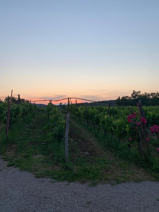 Cardo Boutique&Wine Resort Malchina Екстериор снимка